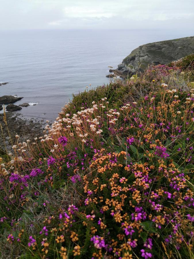 Captivating Isolde Cottage With Pool Near St Ives Camborne Luaran gambar
